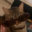 potatosamato