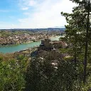 ant_26.