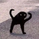 gotruo