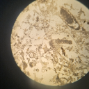 dertox_