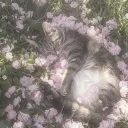 gurly02362