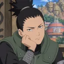 shikamarunara0497