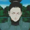 shikamarunara0497