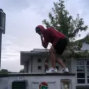 pissenlit64