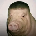 ecorte
