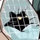 capitaineshiryu