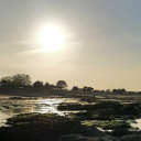 Je m'en khâgne icon