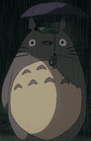 Totoro