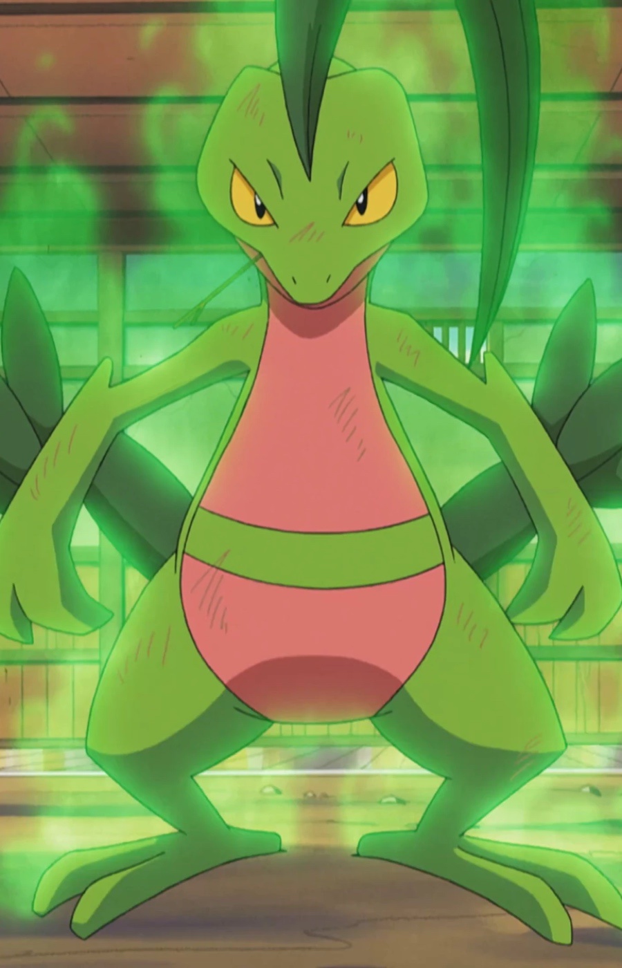 Ash’s Grovyle