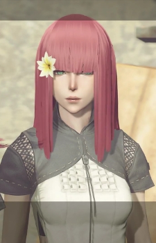 Popola