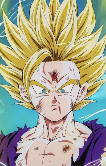 Gohan Son