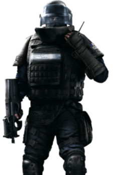 Rook