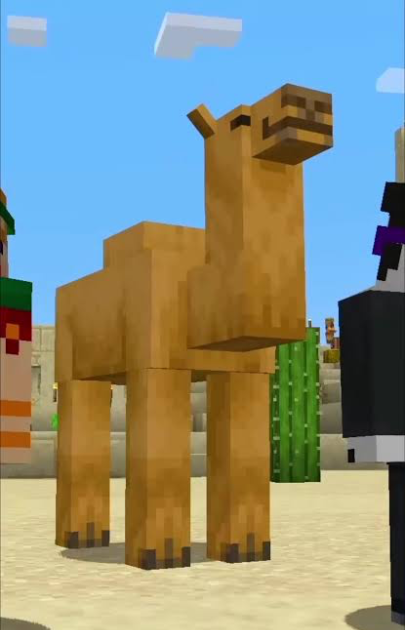 Camel