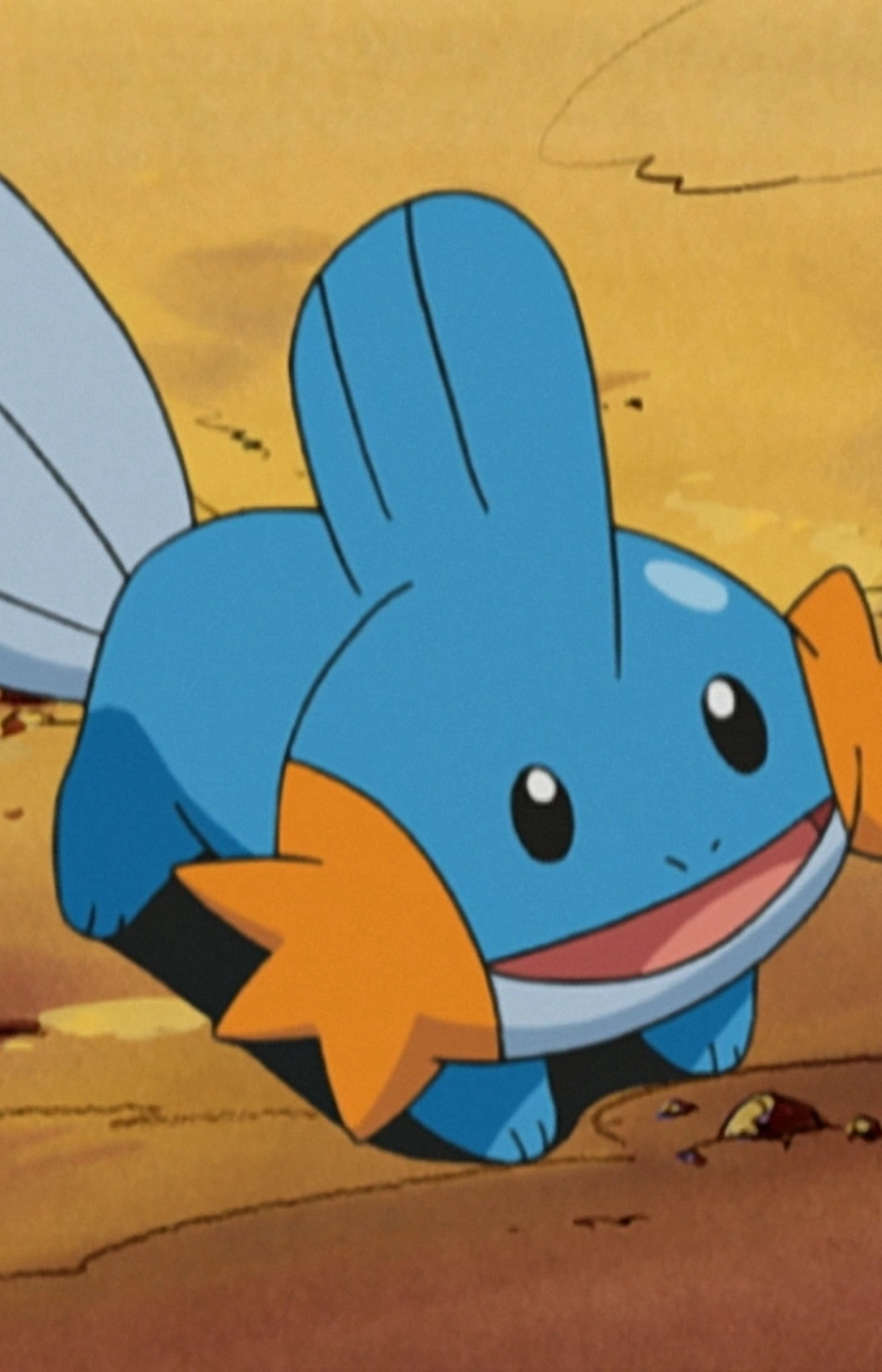 Brock’s Mudkip