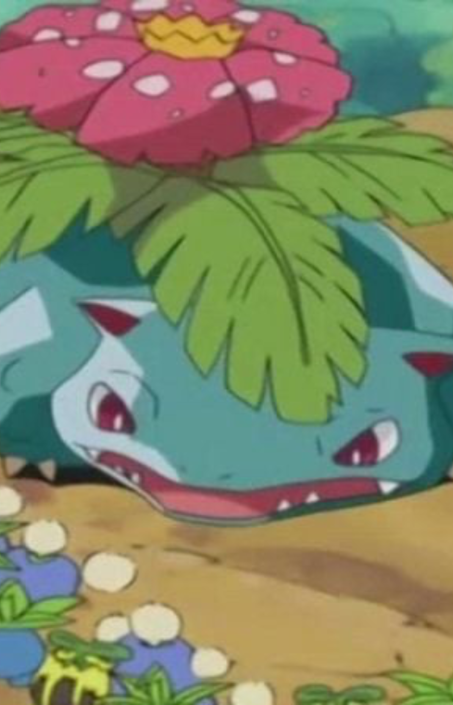 May’s Venusaur