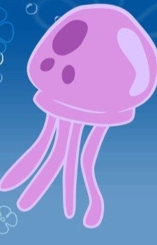 Jellyfish