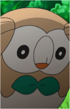 Ash's Rowlet