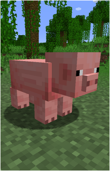 Pig