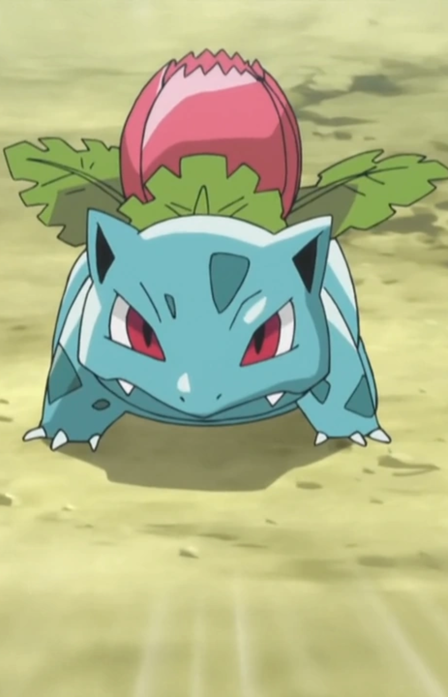 Shauna’s Ivysaur