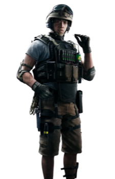 Lesion