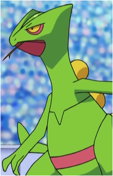 Ash's Sceptile