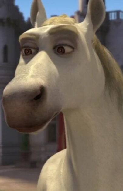 Donkey