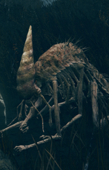 Forager Brood