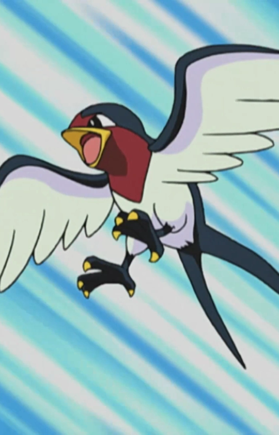 Ash’s Taillow