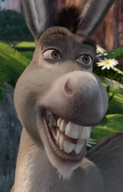 Donkey