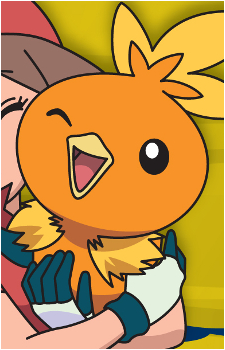 May's Torchic