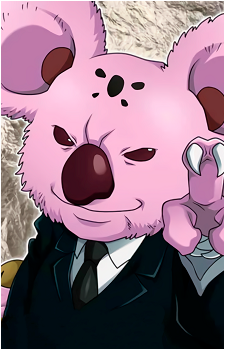 Koala