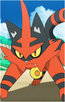 Ash's Torracat