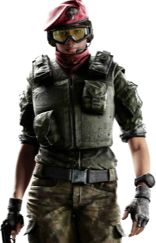 Alibi
