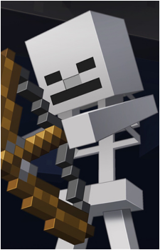 Skeleton