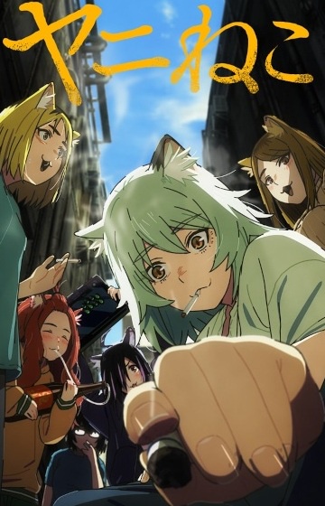 Chainsmoker Cat