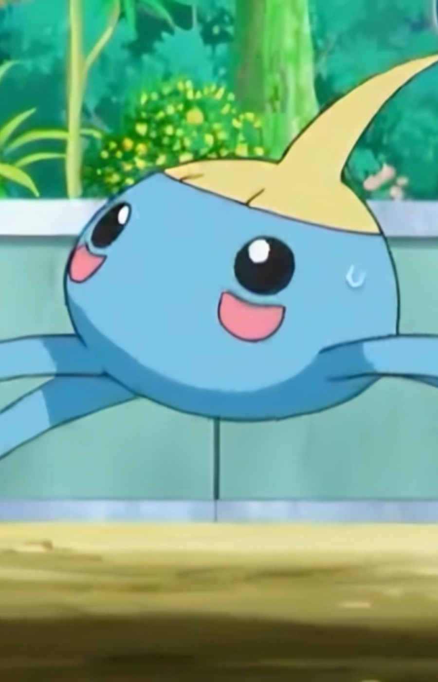 Drew’s Surskit
