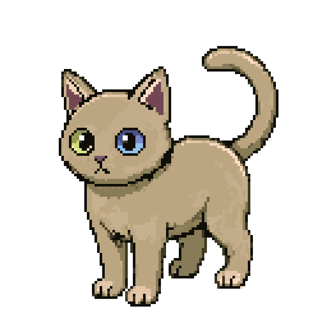 Cream Cat