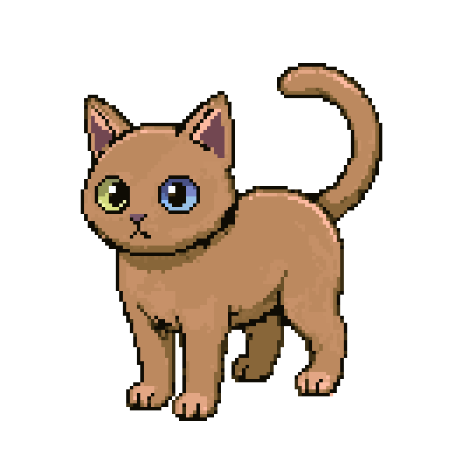 Tabby Cat