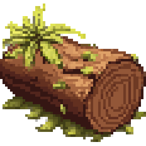 Palm Wood