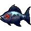 Sardine