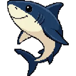 Wild Shark
