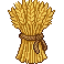 Wheat